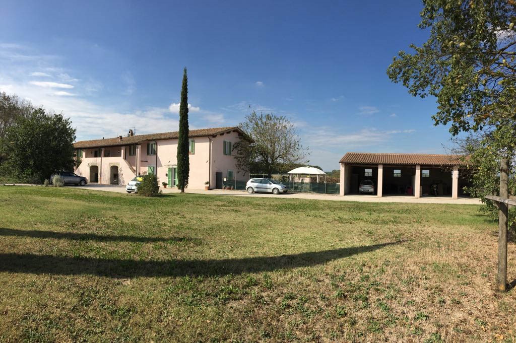 Appartamento SPELLO affitto  Spello  Mirus1870